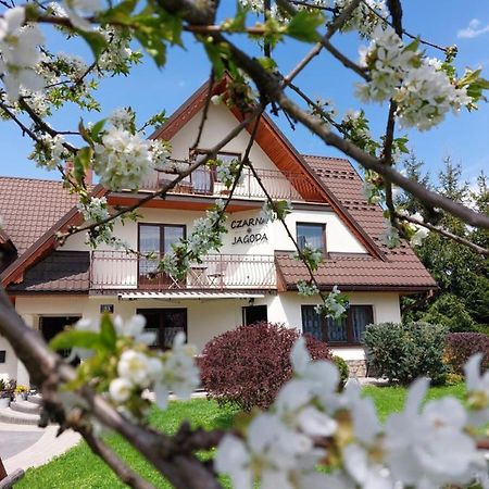 Czarna Jagoda Czarna Góra Exteriör bild