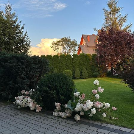 Czarna Jagoda Czarna Góra Exteriör bild