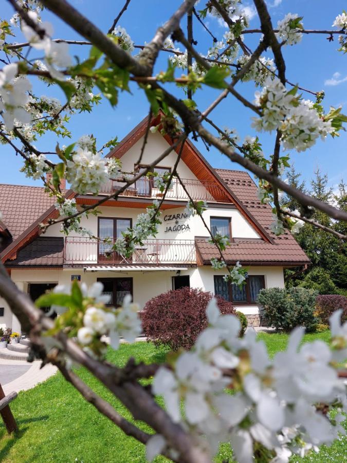 Czarna Jagoda Czarna Góra Exteriör bild