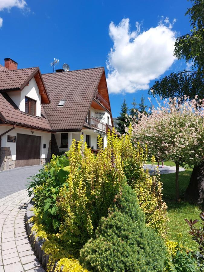 Czarna Jagoda Czarna Góra Exteriör bild