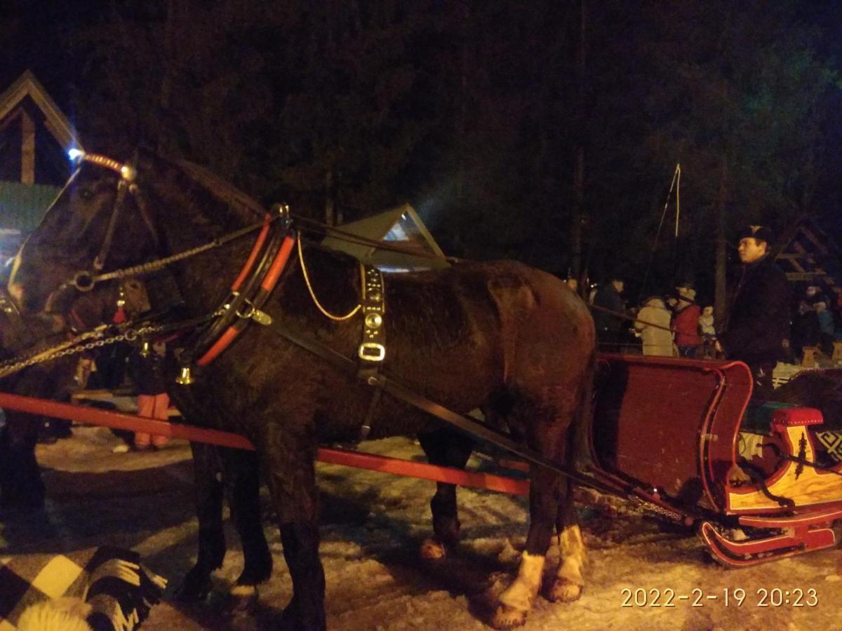 Czarna Jagoda Czarna Góra Exteriör bild