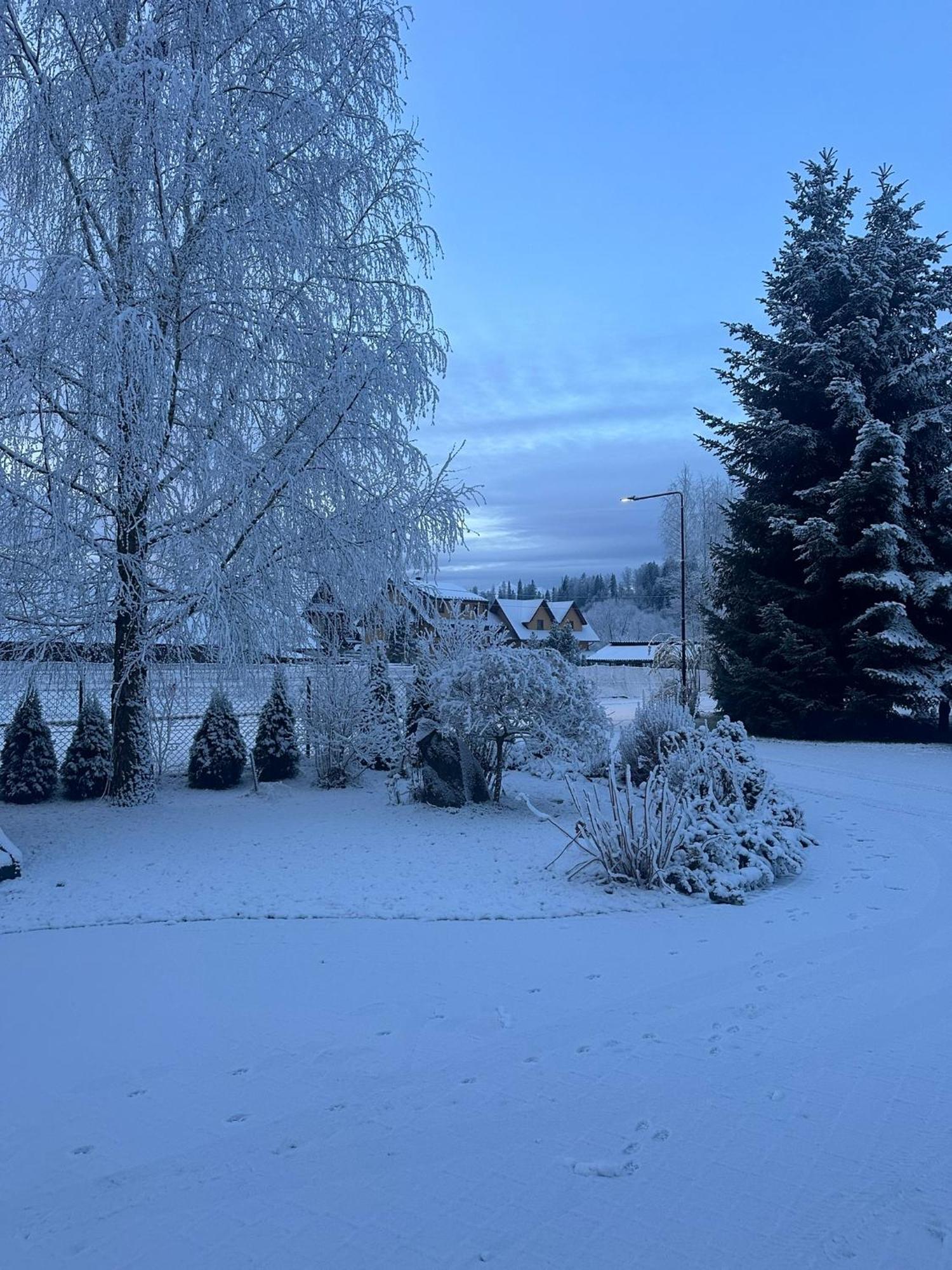 Czarna Jagoda Czarna Góra Exteriör bild