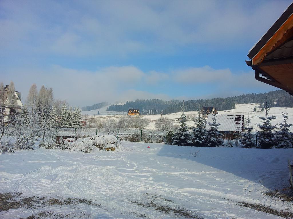 Czarna Jagoda Czarna Góra Exteriör bild