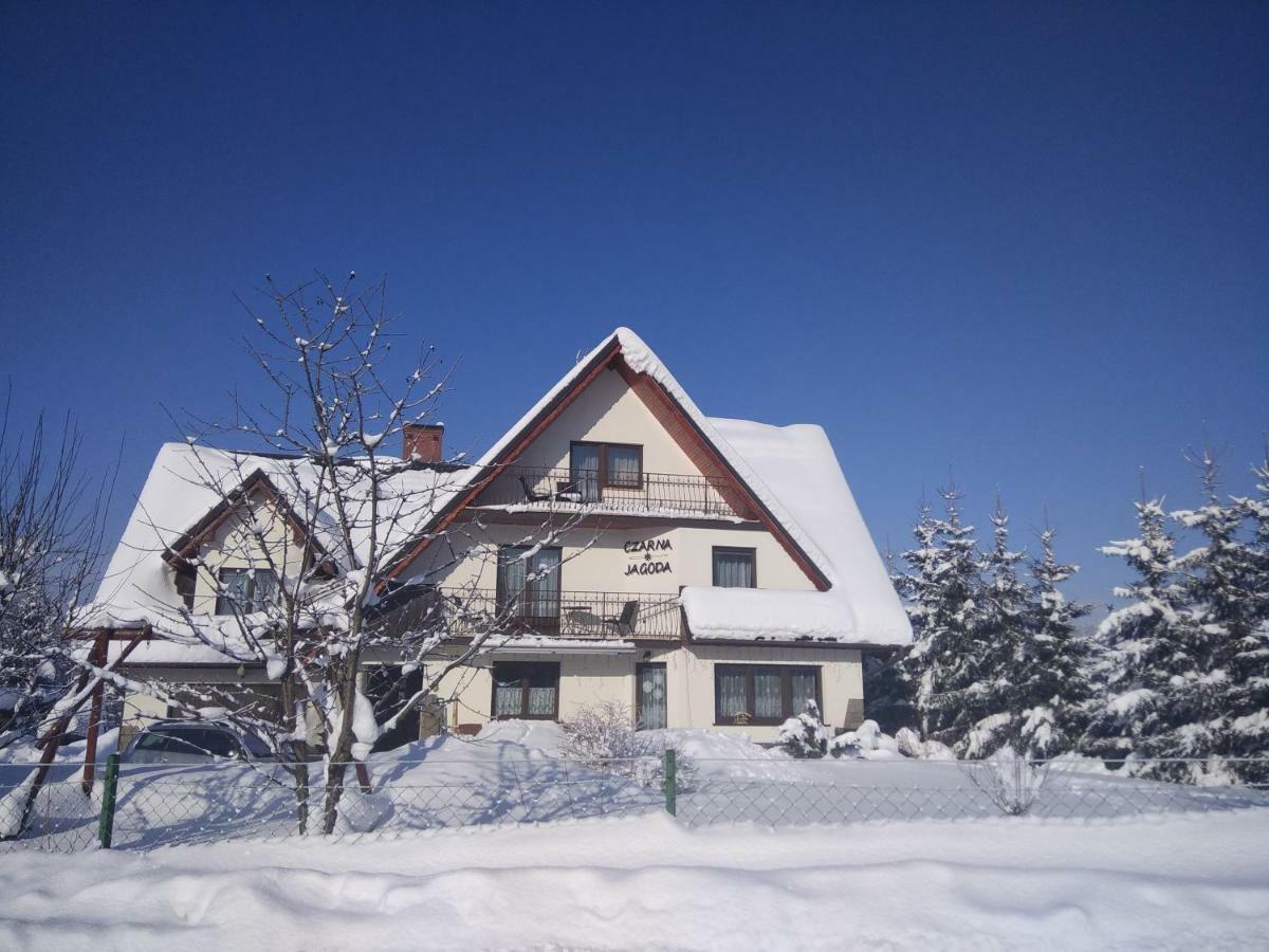 Czarna Jagoda Czarna Góra Exteriör bild